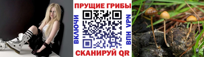 Галлюциногенные грибы MAGIC MUSHROOMS Лукоянов