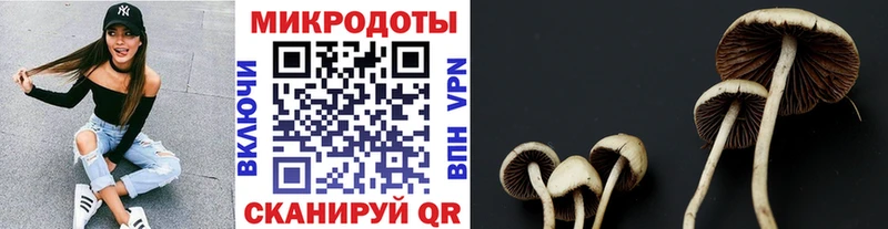 блэк спрут как войти  Лукоянов  Псилоцибиновые грибы Psilocybine cubensis  купить  сайты 